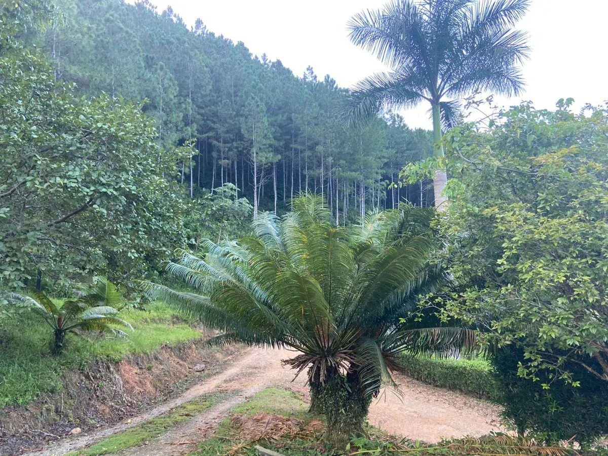 Fazenda à venda de 425 ha em Cajati, SP, Brasil