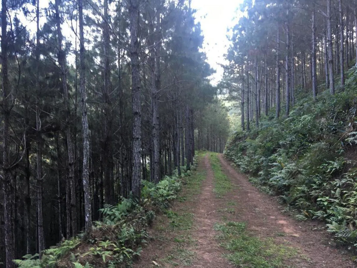 Fazenda à venda de 425 ha em Cajati, SP, Brasil