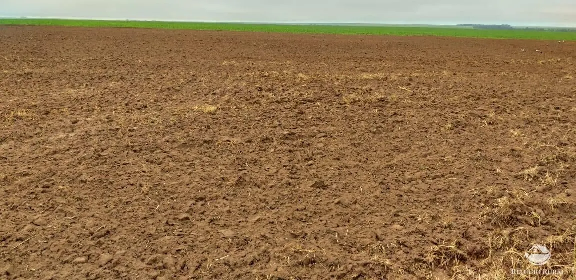 Fazenda à venda de 35.000 ha em Santa Terezinha, MT, Brasil