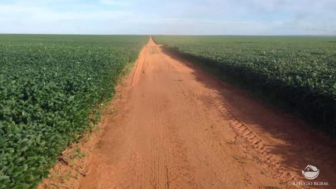 Fazenda à venda de 35.000 ha em Santa Terezinha, MT, Brasil