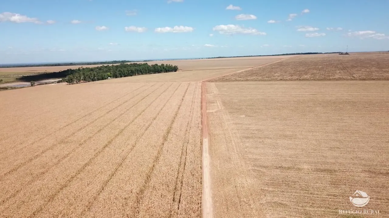 Fazenda à venda de 35.000 ha em Santa Terezinha, MT, Brasil