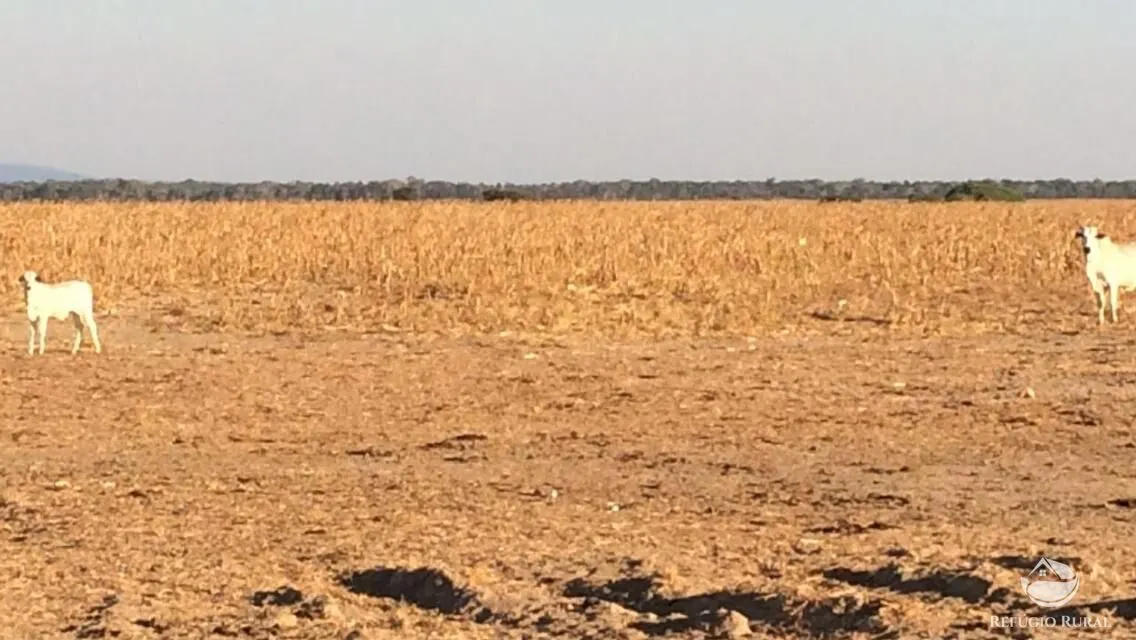 Fazenda à venda de 35.000 ha em Santa Terezinha, MT, Brasil