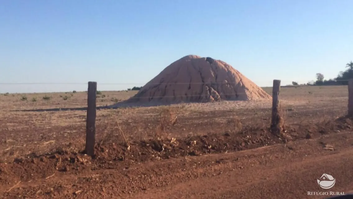 Fazenda à venda de 35.000 ha em Santa Terezinha, MT, Brasil