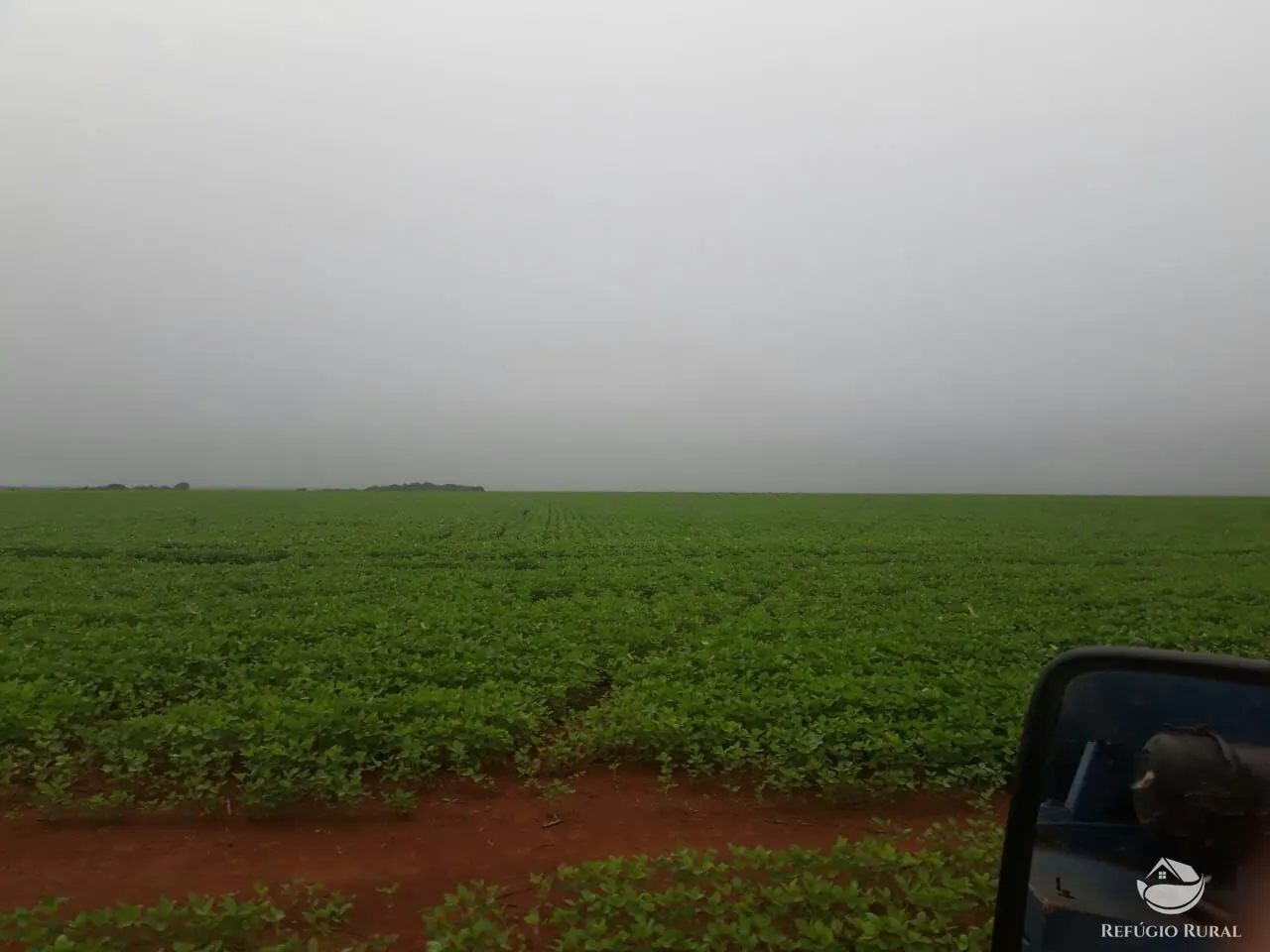 Fazenda à venda de 35.000 ha em Santa Terezinha, MT, Brasil