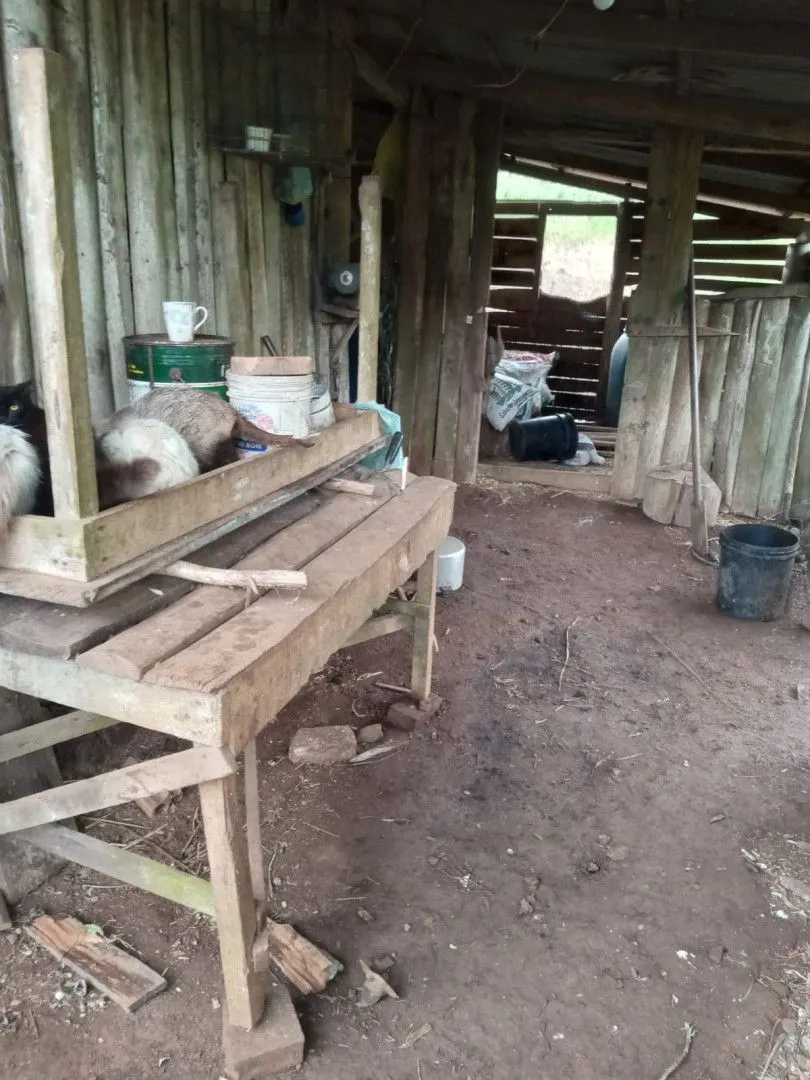 Chácara à venda de 2 ha em Osório, RS, Brasil