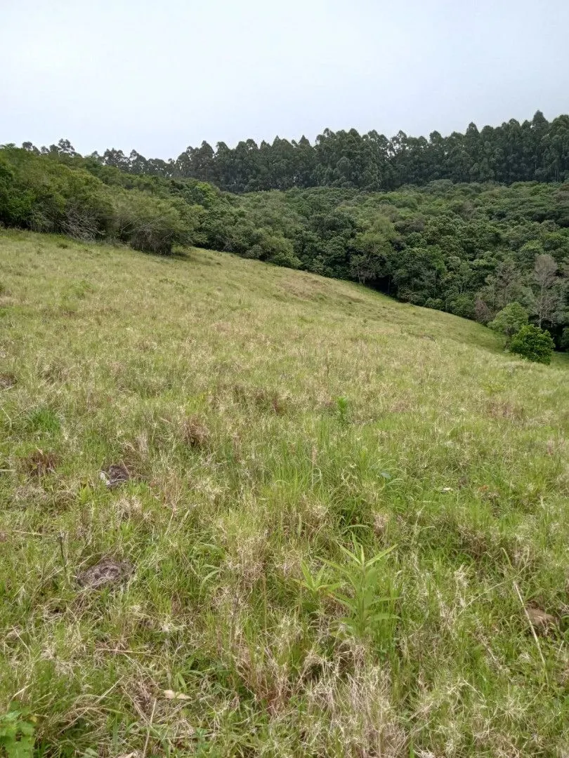Chácara à venda de 2 ha em Osório, RS, Brasil