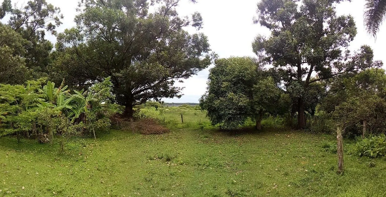 Chácara à venda de 2 ha em Osório, RS, Brasil