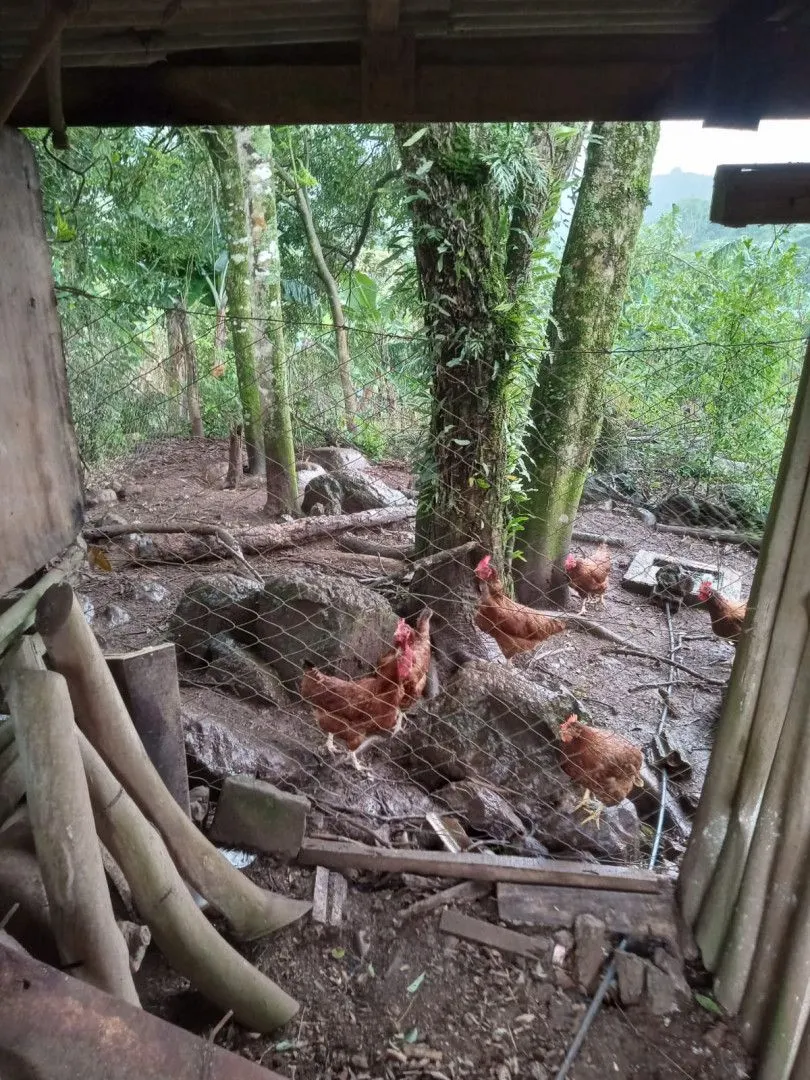 Chácara à venda de 2 ha em Osório, RS, Brasil