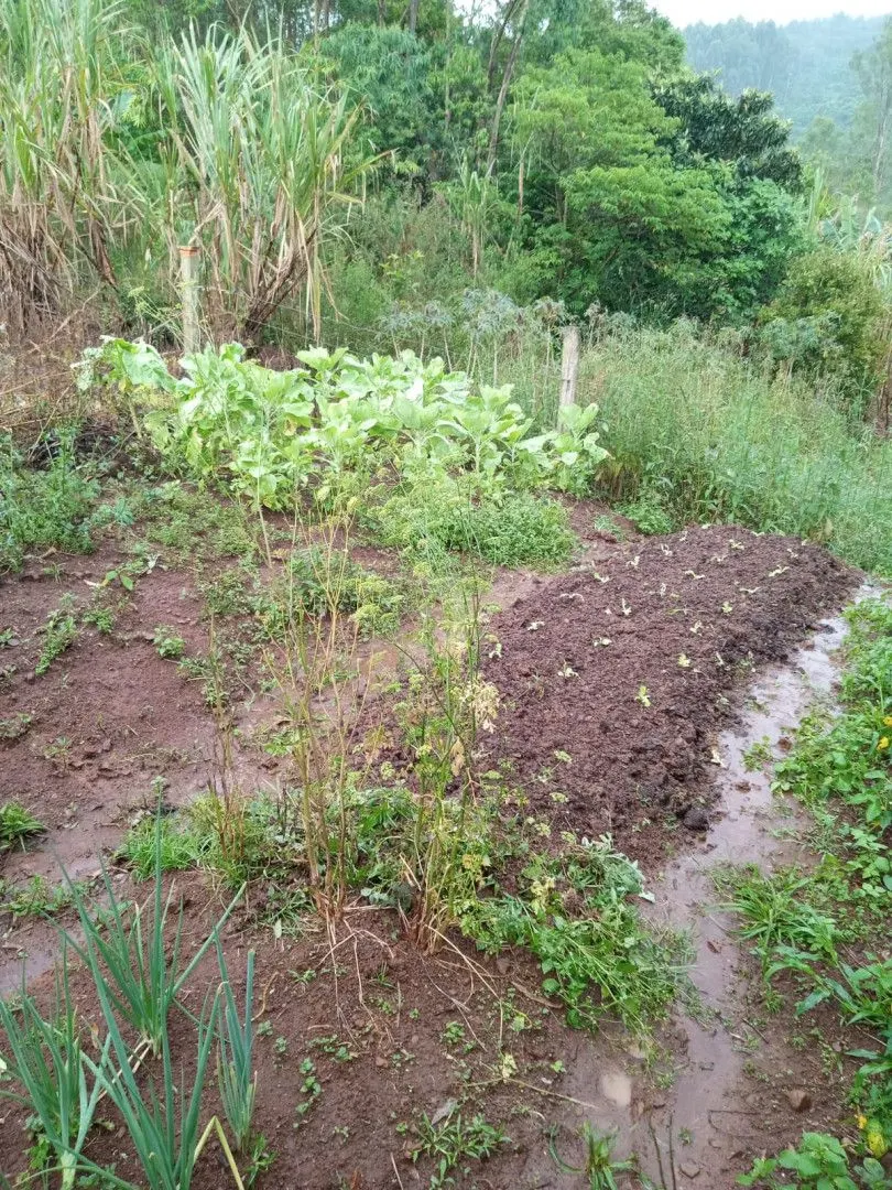 Chácara à venda de 2 ha em Osório, RS, Brasil