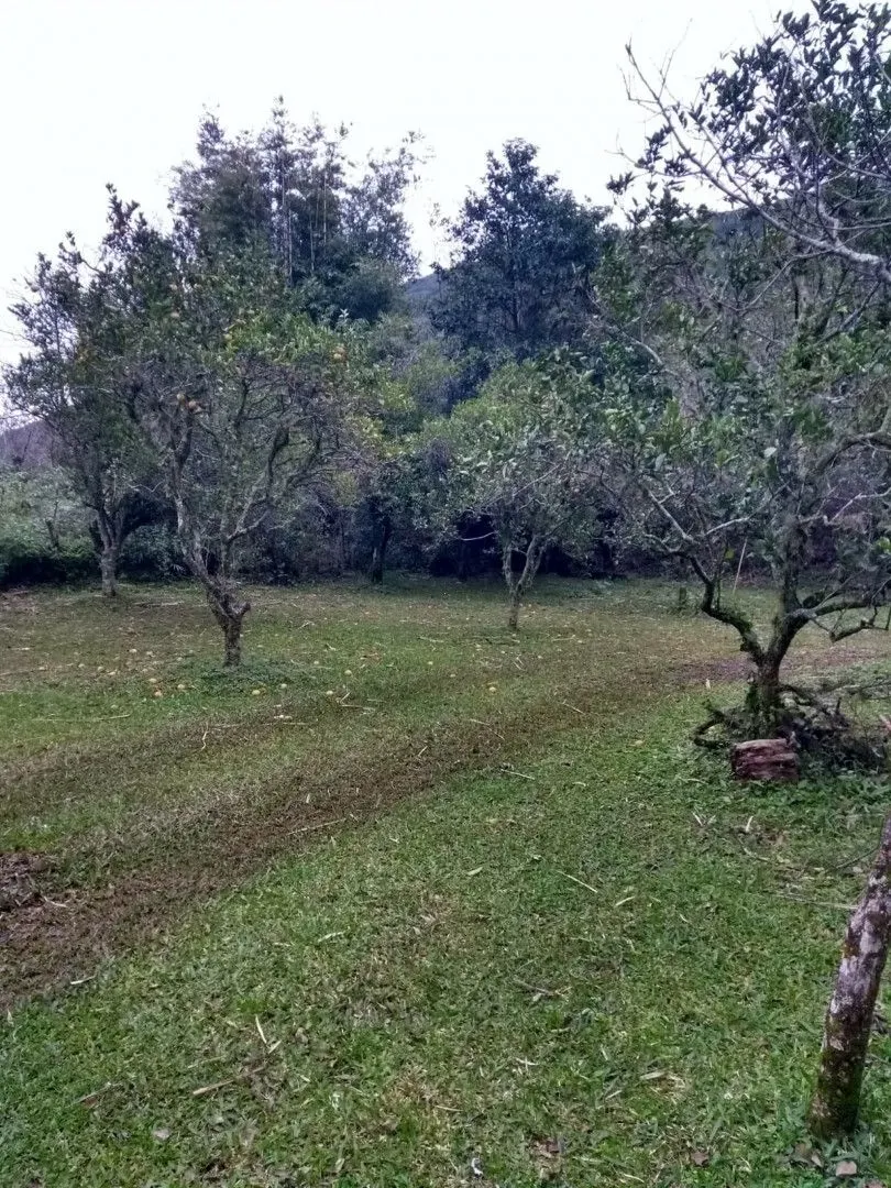 Chácara à venda de 2 ha em Osório, RS, Brasil