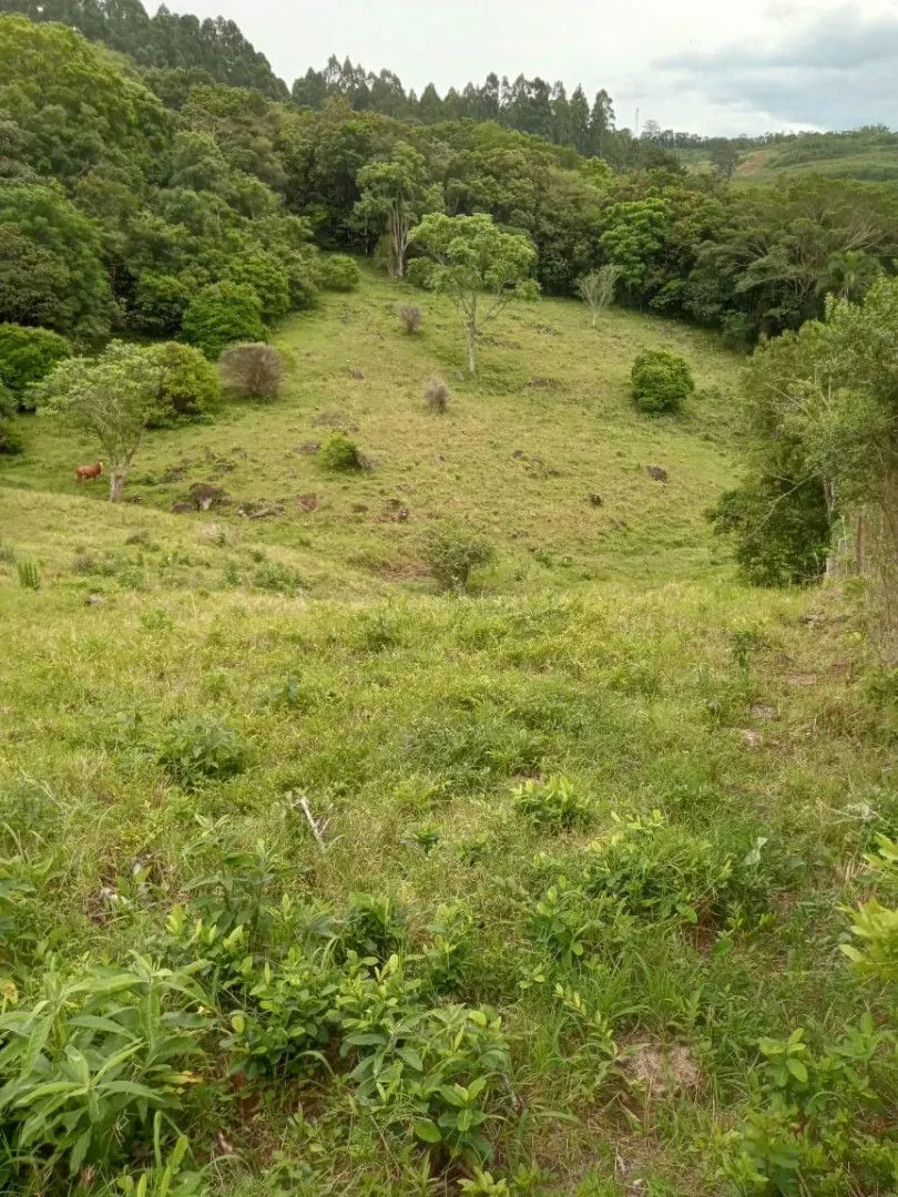 Chácara à venda de 2 ha em Osório, RS, Brasil