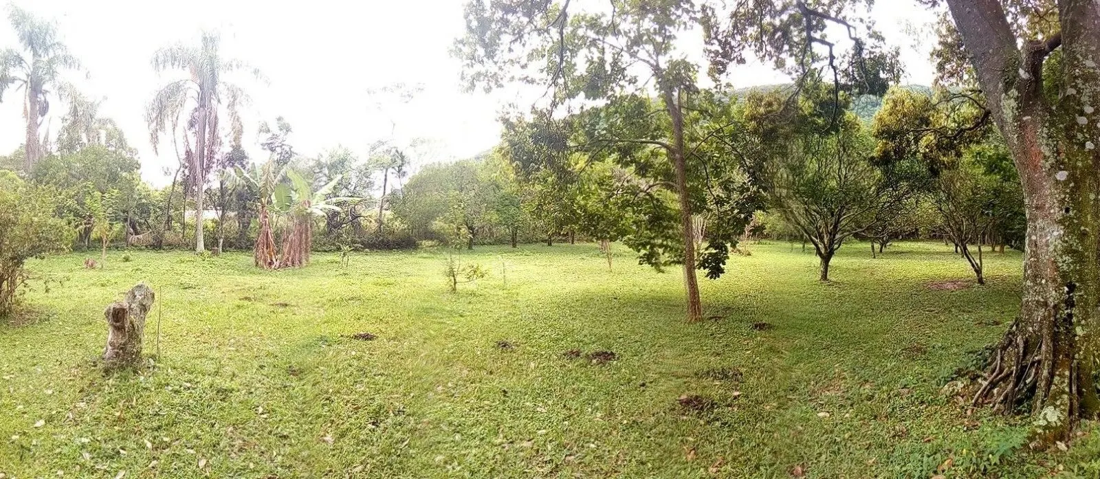 Chácara à venda de 2 ha em Osório, RS, Brasil