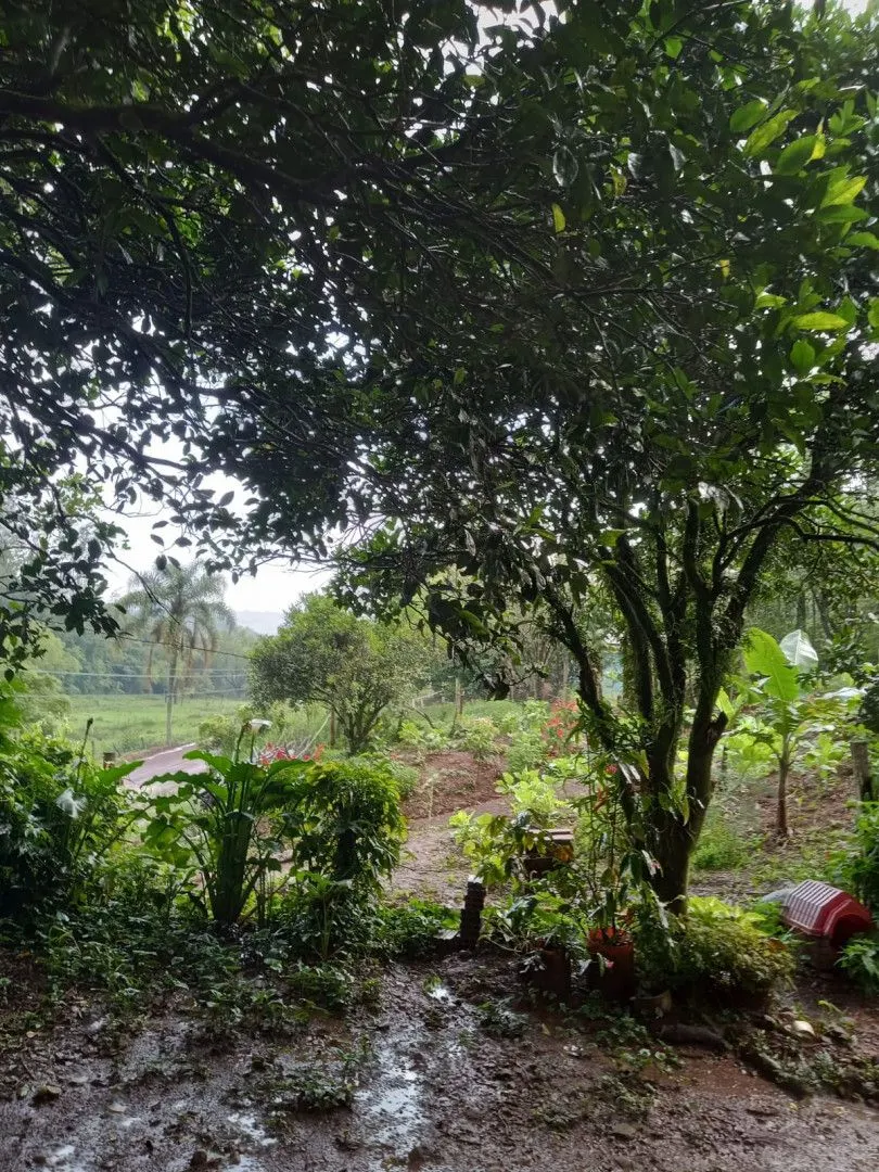 Chácara à venda de 2 ha em Osório, RS, Brasil