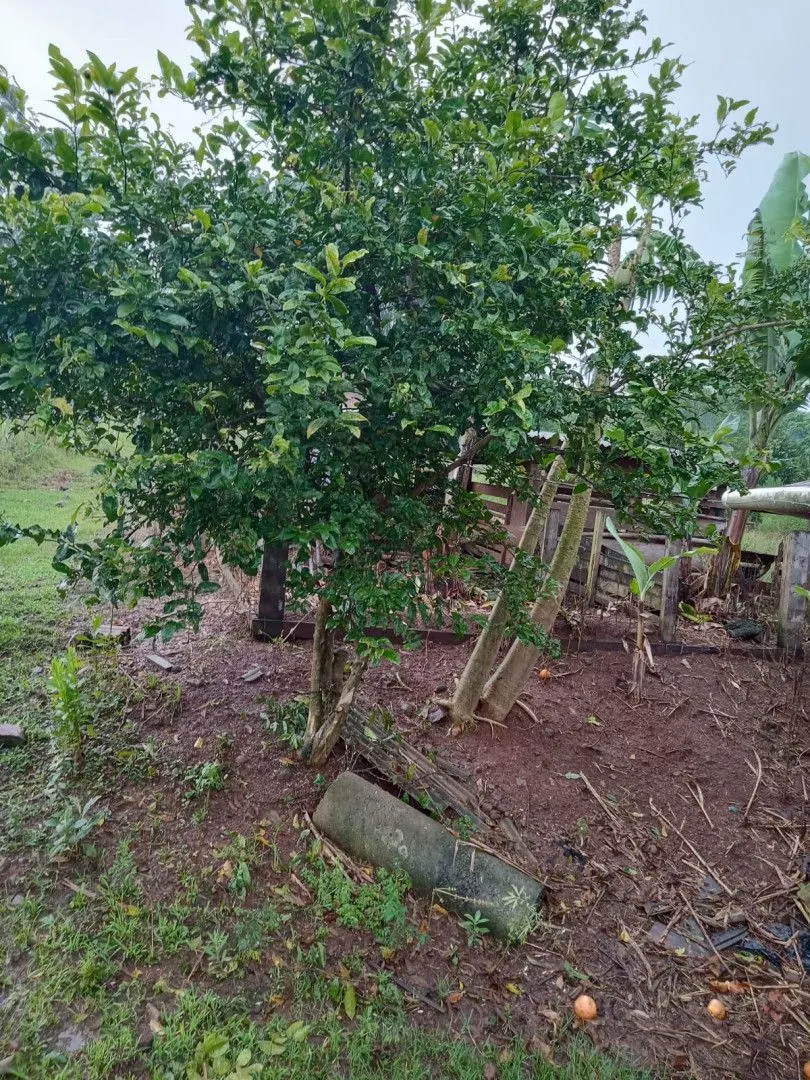 Chácara à venda de 2 ha em Osório, RS, Brasil