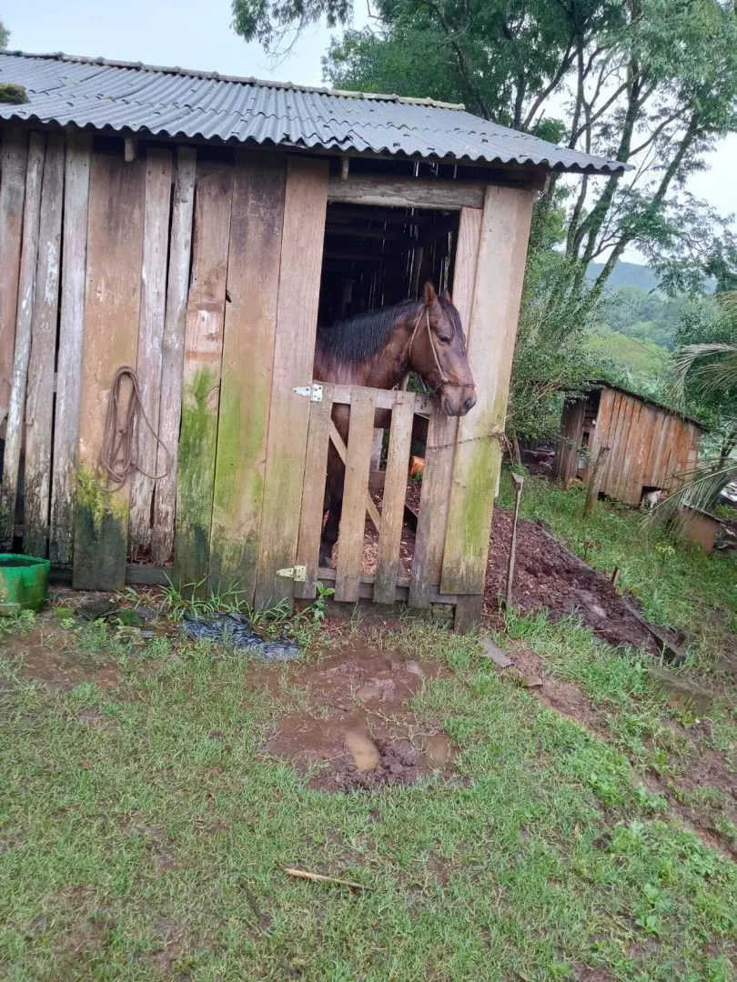 Chácara à venda de 2 ha em Osório, RS, Brasil
