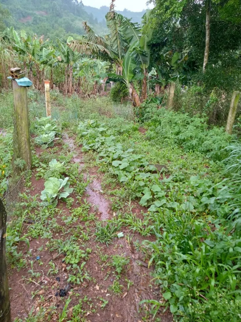 Chácara à venda de 2 ha em Osório, RS, Brasil