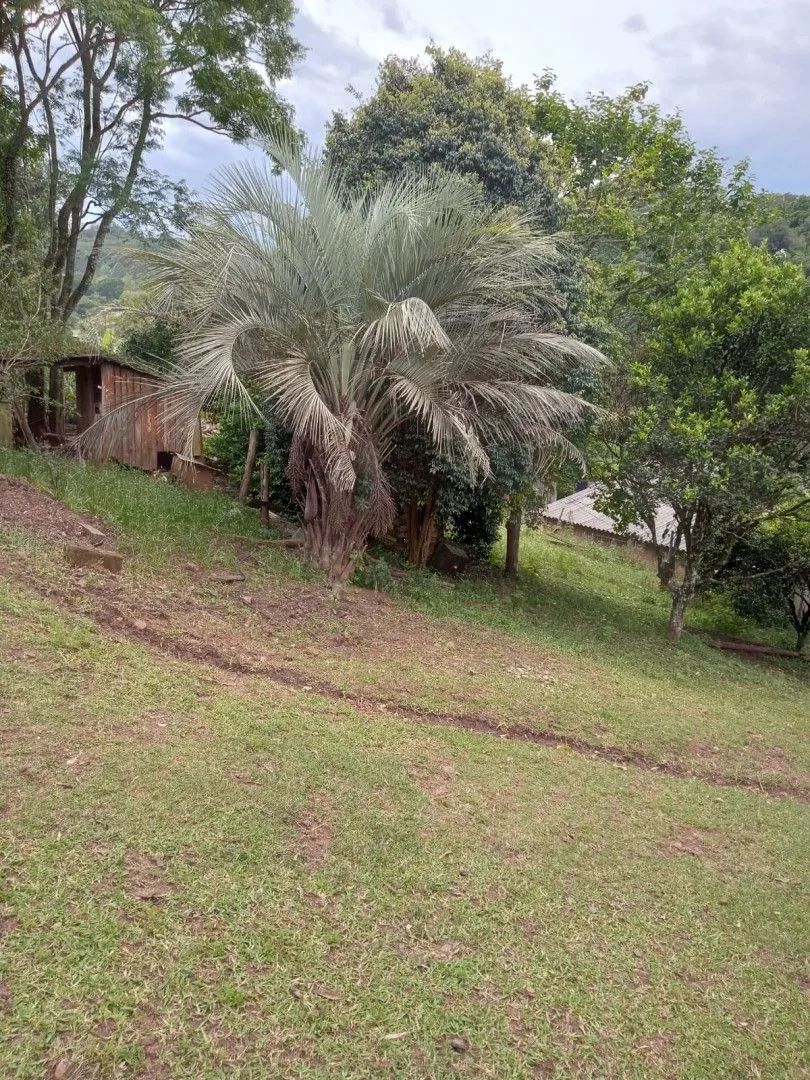Chácara à venda de 2 ha em Osório, RS, Brasil