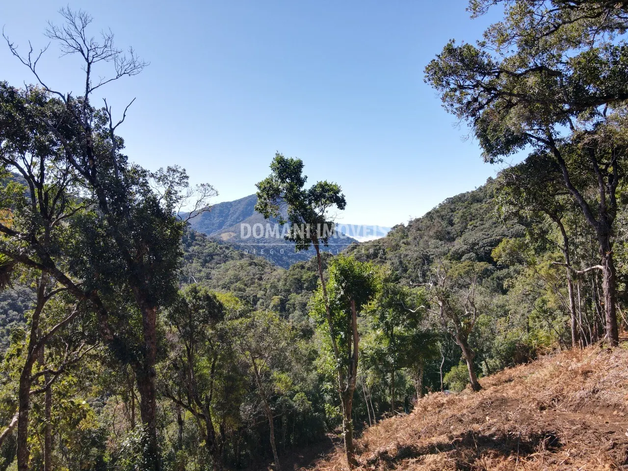 Sítio à venda de 2 ha em Santo Antônio do Pinhal, SP, Brasil