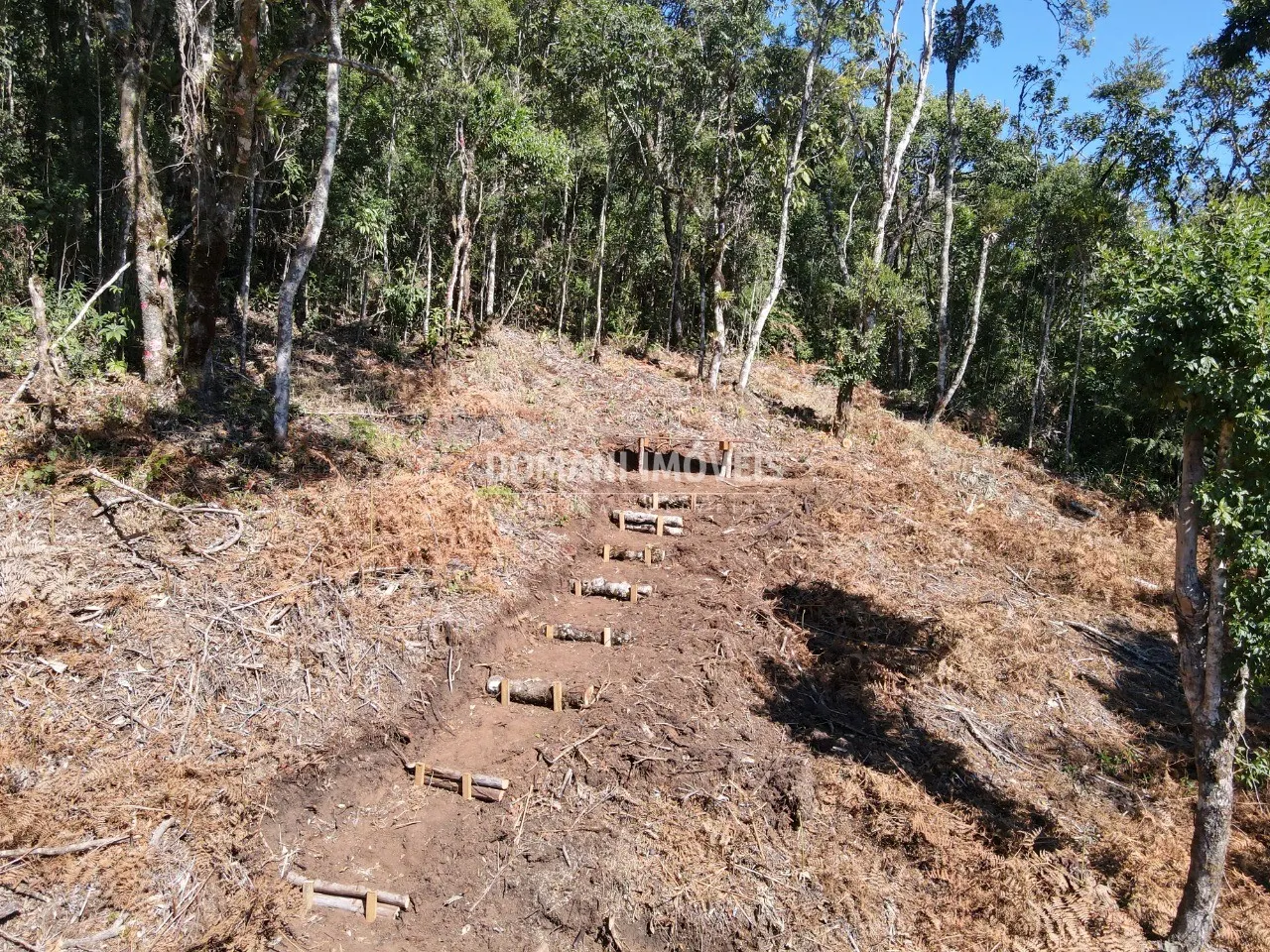 Sítio à venda de 2 ha em Santo Antônio do Pinhal, SP, Brasil