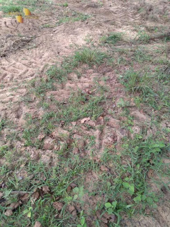 Fazenda à venda de 680 ha em Rondonópolis, MT, Brasil