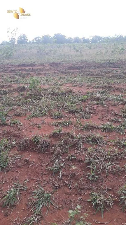 Fazenda à venda de 680 ha em Rondonópolis, MT, Brasil