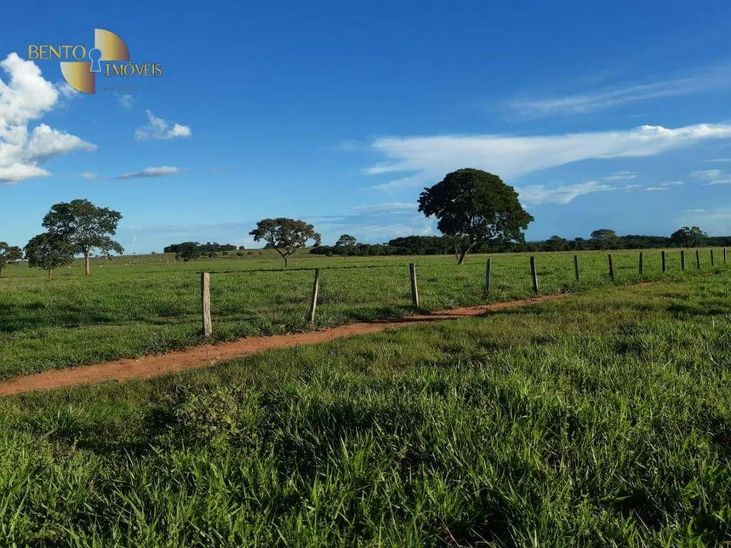 Fazenda à venda de 680 ha em Rondonópolis, MT, Brasil