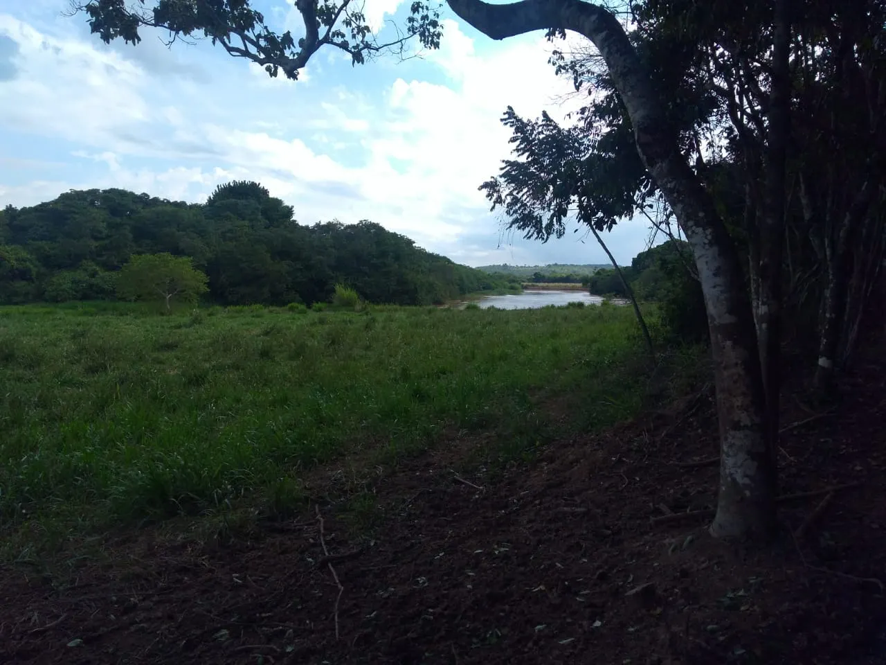 Fazenda à venda de 90 ha em Mimoso do Sul, ES, Brasil