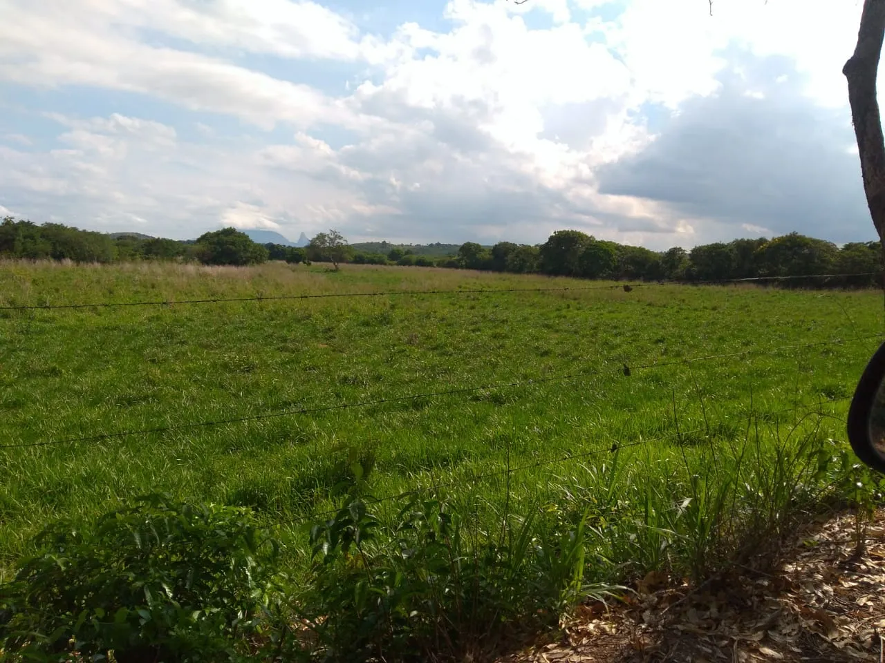 Fazenda à venda de 90 ha em Mimoso do Sul, ES, Brasil