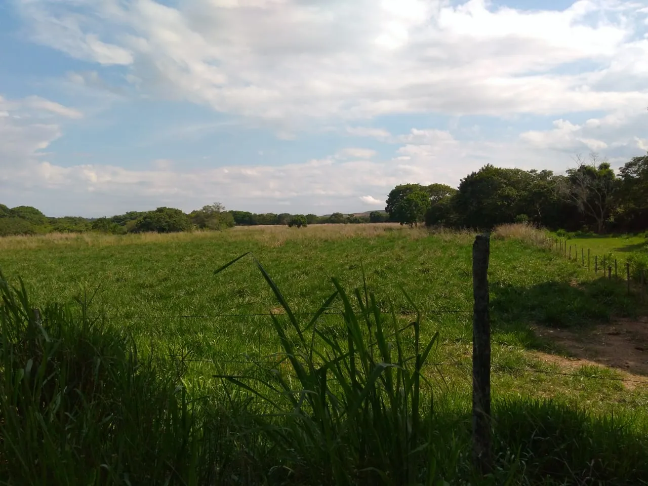 Fazenda à venda de 90 ha em Mimoso do Sul, ES, Brasil