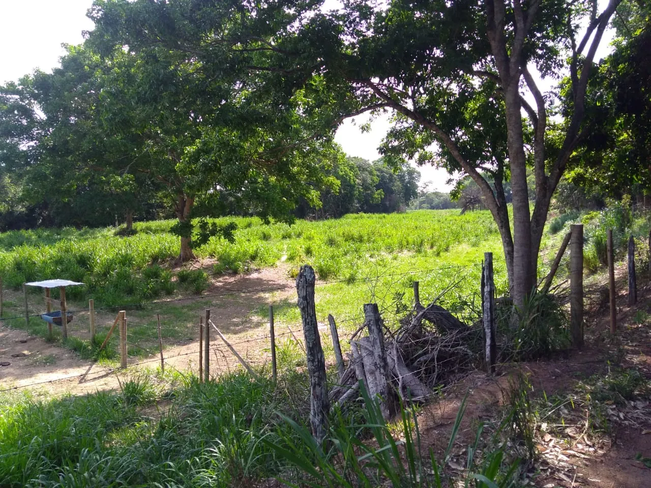 Fazenda à venda de 90 ha em Mimoso do Sul, ES, Brasil