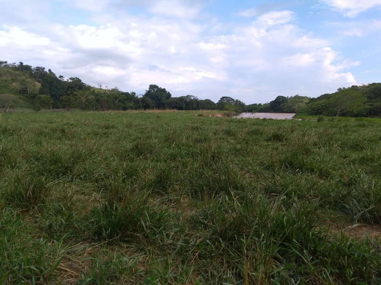 Fazenda à venda de 90 ha em Mimoso do Sul, ES, Brasil