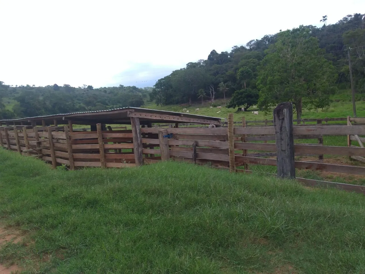 Fazenda à venda de 90 ha em Mimoso do Sul, ES, Brasil