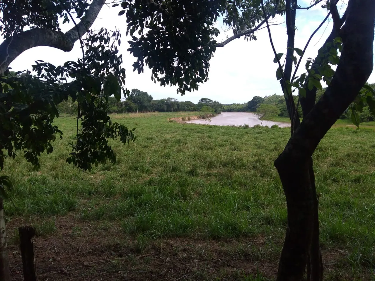 Fazenda à venda de 90 ha em Mimoso do Sul, ES, Brasil