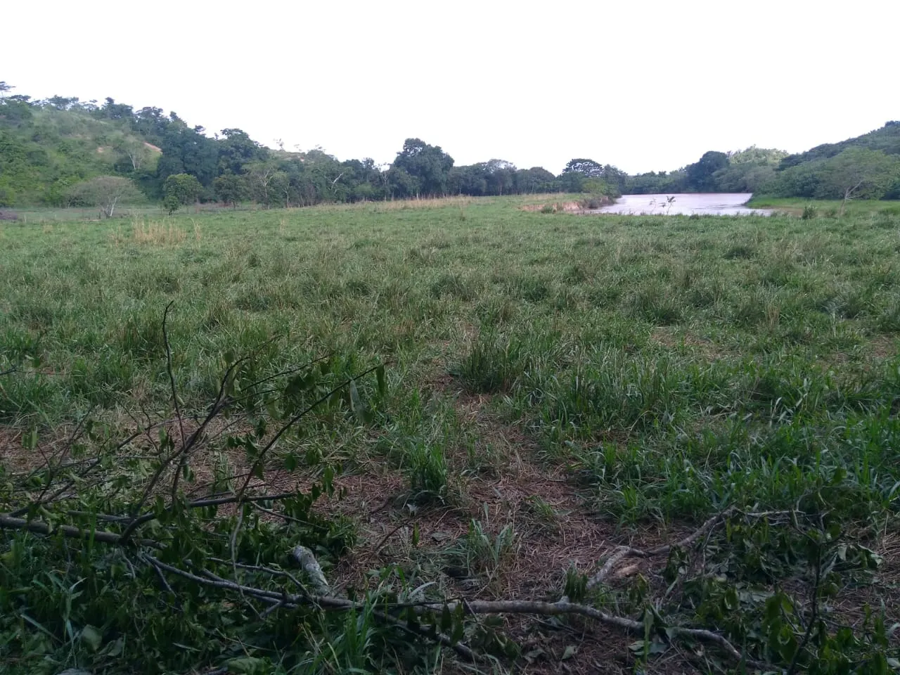 Fazenda à venda de 90 ha em Mimoso do Sul, ES, Brasil