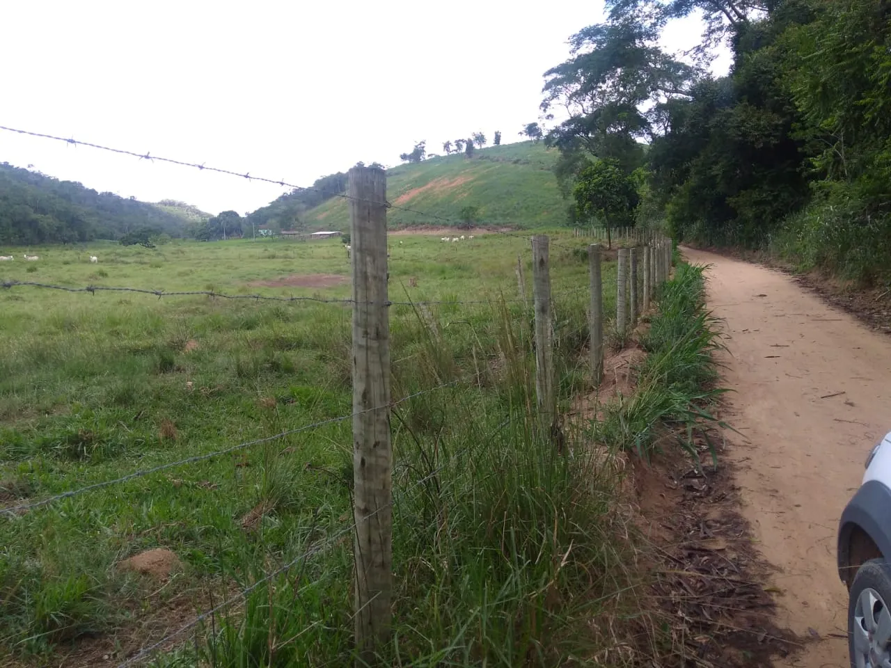 Fazenda à venda de 90 ha em Mimoso do Sul, ES, Brasil