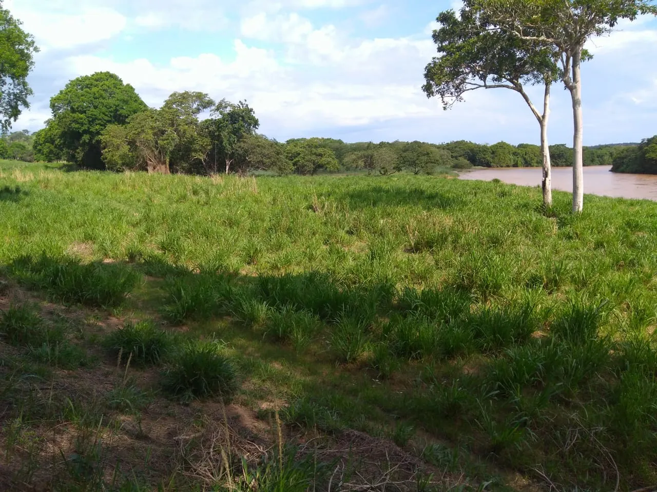 Fazenda à venda de 90 ha em Mimoso do Sul, ES, Brasil