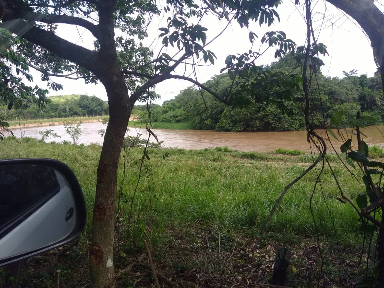 Fazenda à venda de 90 ha em Mimoso do Sul, ES, Brasil