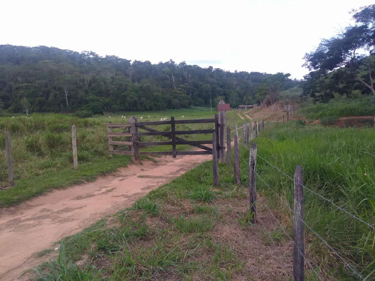 Fazenda à venda de 90 ha em Mimoso do Sul, ES, Brasil