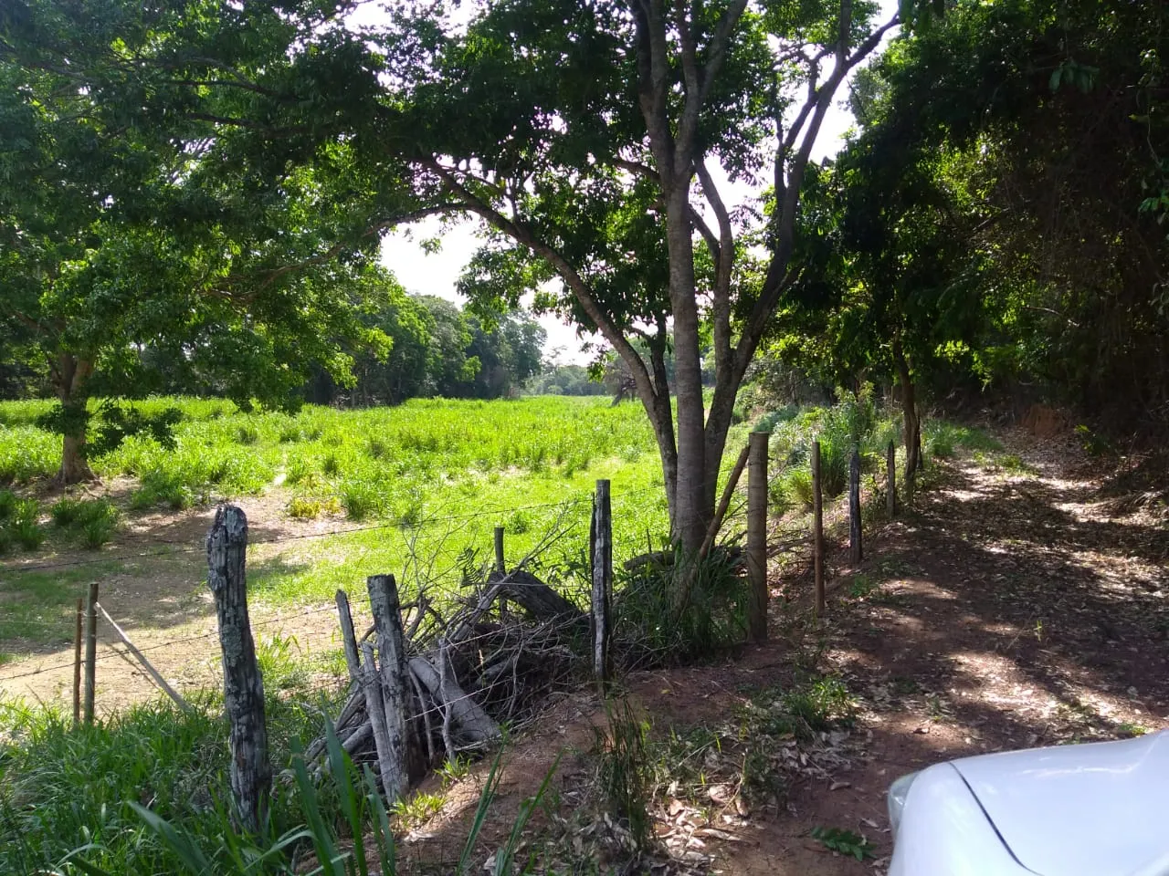 Fazenda à venda de 90 ha em Mimoso do Sul, ES, Brasil