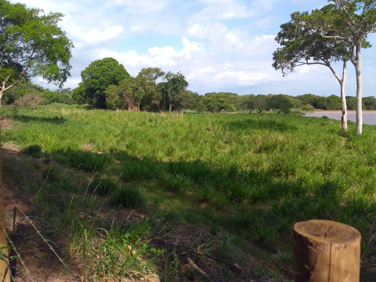 Fazenda à venda de 90 ha em Mimoso do Sul, ES, Brasil