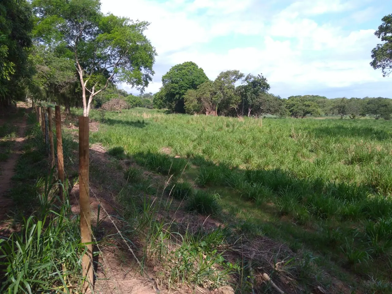 Fazenda à venda de 90 ha em Mimoso do Sul, ES, Brasil