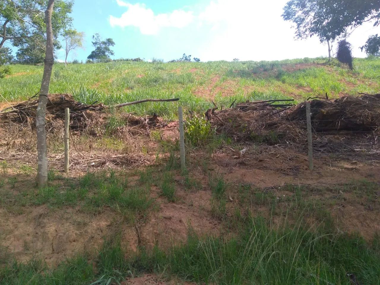 Fazenda à venda de 90 ha em Mimoso do Sul, ES, Brasil