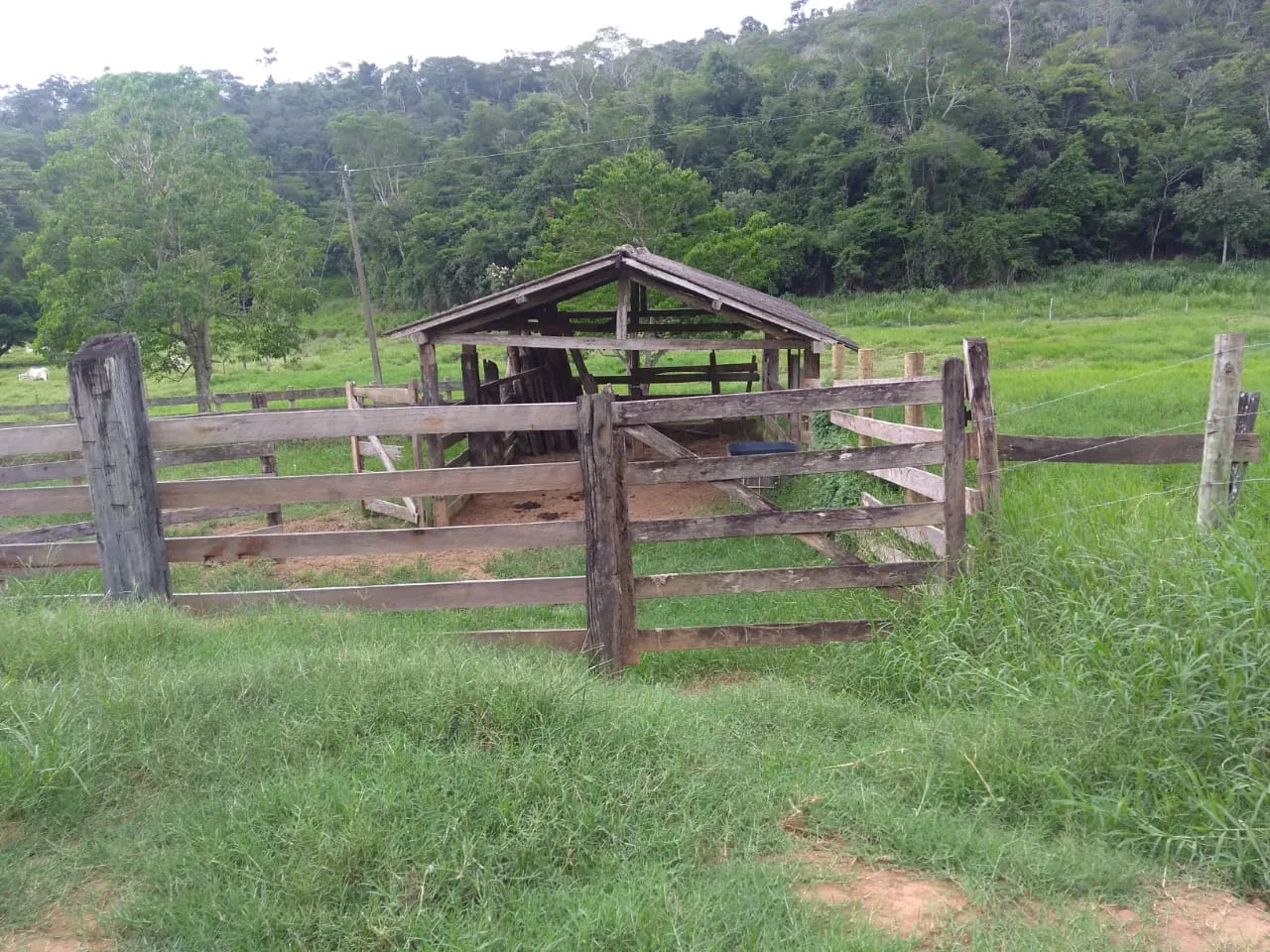 Fazenda à venda de 90 ha em Mimoso do Sul, ES, Brasil