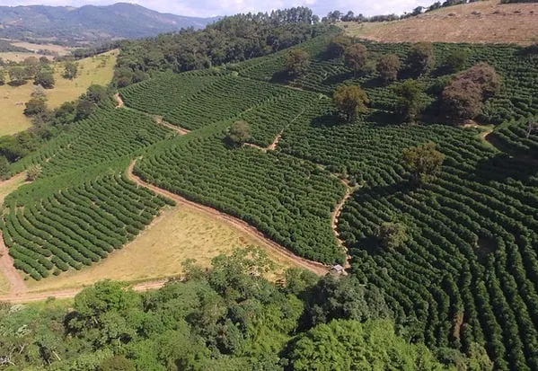 Fazenda à venda de 101 ha em Cambuquira, MG, Brasil