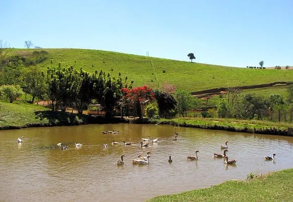 Fazenda à venda de 101 ha em Cambuquira, MG, Brasil