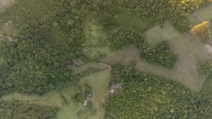 Chácara à venda de 10 ha em Santo Antônio da Patrulha, RS, Brasil