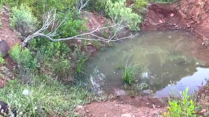 Chácara à venda de 10 ha em Santo Antônio da Patrulha, RS, Brasil