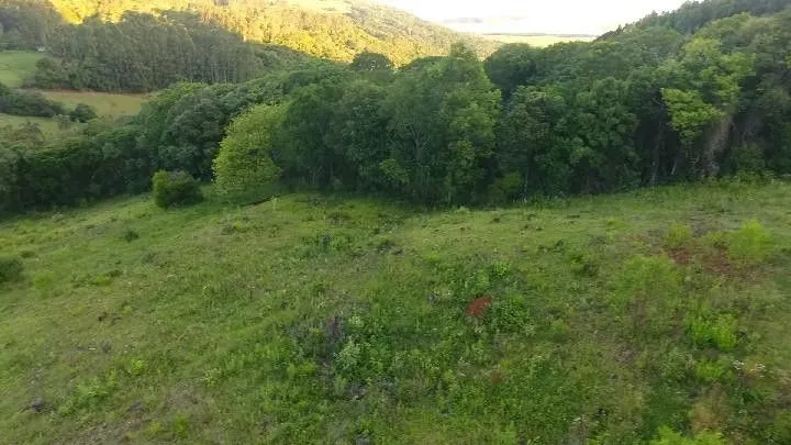 Chácara à venda de 10 ha em Santo Antônio da Patrulha, RS, Brasil