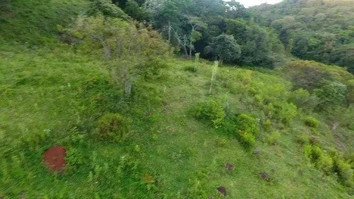 Chácara à venda de 10 ha em Santo Antônio da Patrulha, RS, Brasil