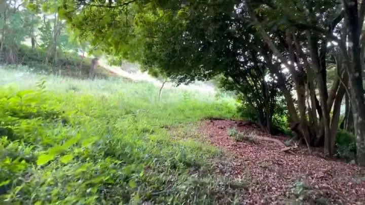 Chácara à venda de 10 ha em Santo Antônio da Patrulha, RS, Brasil